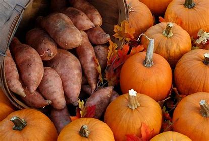 Pumpkin Pie & Sweet Potato Pie Candles